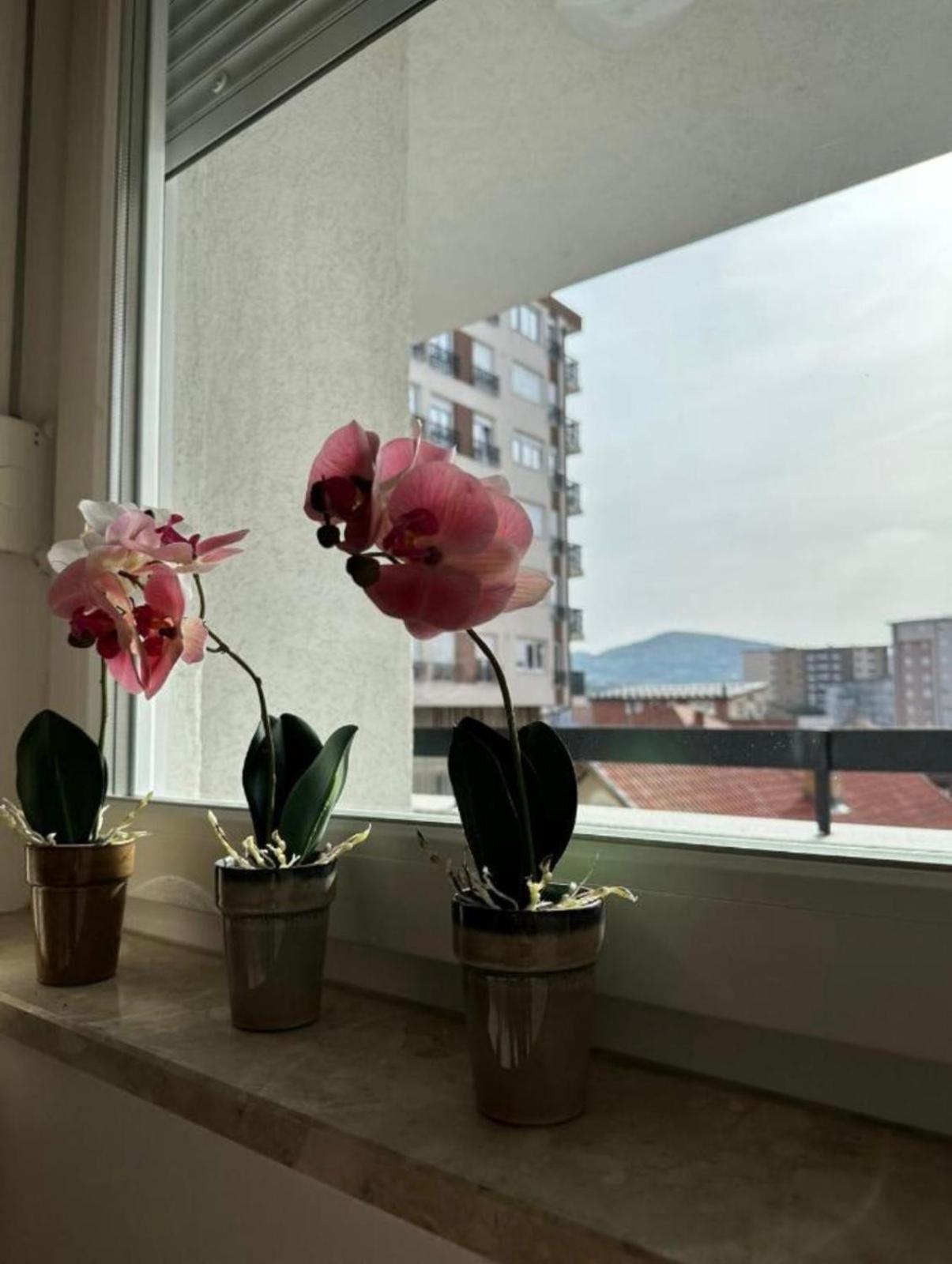Apartmani Imperial Novi Pazar Buitenkant foto